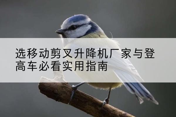 乐山电动升降机厂家-选移动剪叉升降机厂家与登高车必看实用指南