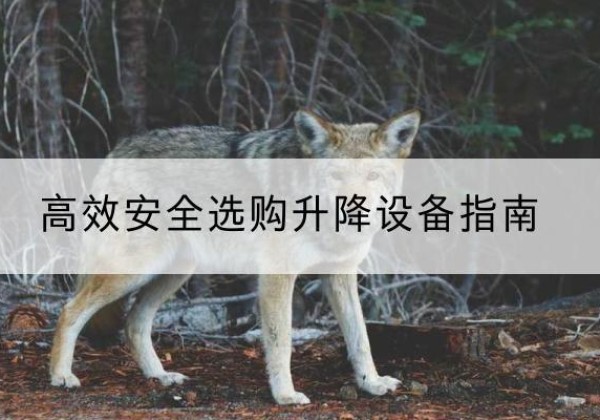 乐山升降货梯厂家推荐-*安全选购升降设备指南