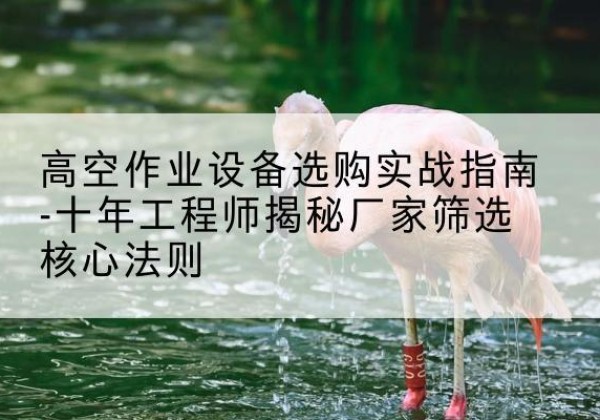 乐山剪叉式升降机厂家-高空作业设备选购实战指南-十年工程师揭秘厂家筛选核心法则