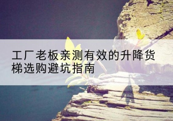 乐山升降货梯怎么选-工厂老板亲测有效的升降货梯选购避坑指南
